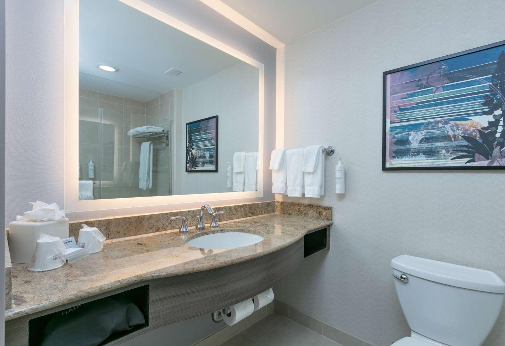 Hilton Garden Inn Dallas Arlington Luaran gambar